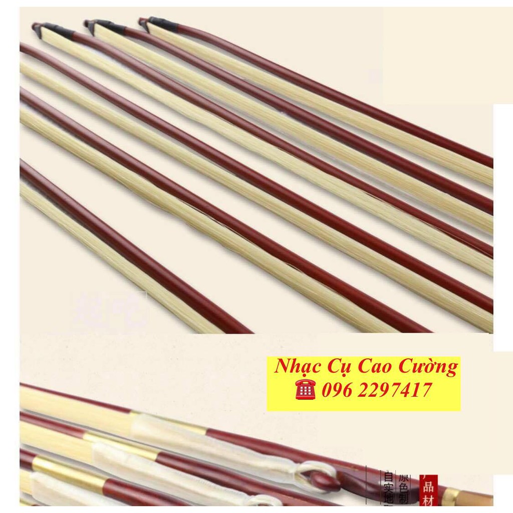 VĨ ĐÀN NHỊ CAO CẤP