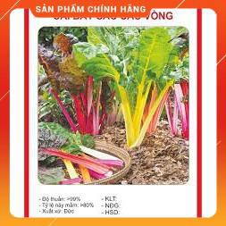 HẠT GIỐNG CẢI BẨY SẮC CẦU VỒNG GÓI 25/30 HẠT