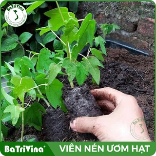 Thùng 1000 Viên nén ươm hạt BATRIVINA