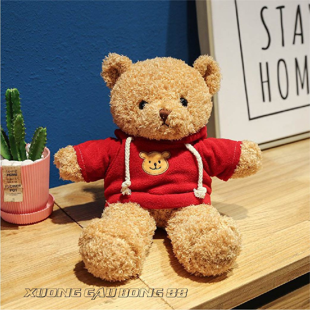 Gấu Bông Đồ Chơi cho bé Teddy Mặc Áo Hoodie Nhiều Màu Nhồi Gòn Cao Cấp Bao Xinh