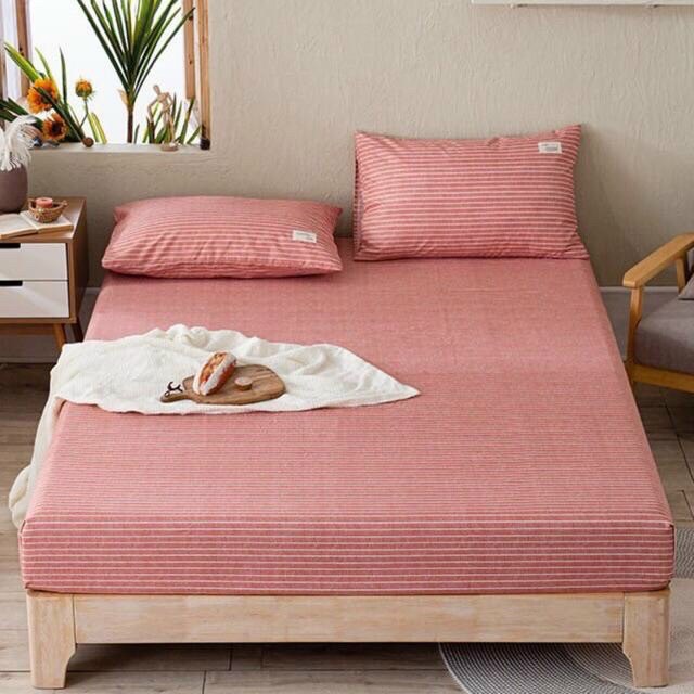 Bộ Ga Gối Cotton Tici Kẻ Vintage Cotton Hoạt Tính - Họa Tiết Kẻ Hiện Đại - Set Ga Gối 3 Món