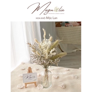 Set hoa khô trang trí kèm lọ vintage decor bàn làm việc, phòng ngủ đẹp