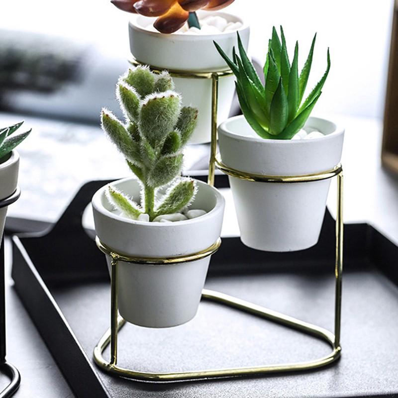 Chậu Cây Cảnh Để Bàn Kiểu Dáng Đơn Giản Xinh Xắn