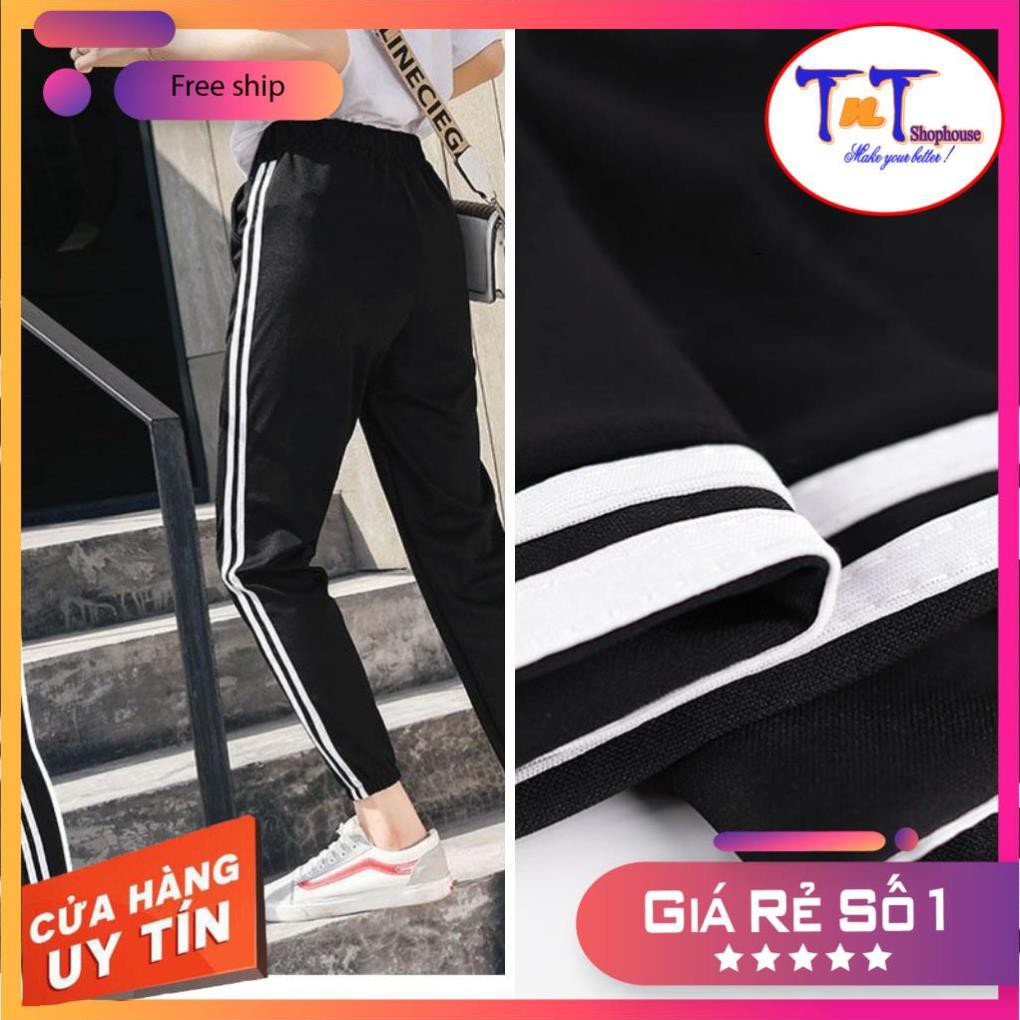 [GIÁ GỐC] S40 Combo Quần Áo Thể Thao Unisex We Bare Bears Gấu Trắng, Set Quần Jogger Phối Với Áo Thun Cho Nam Và Nữ