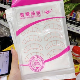 Dán cố định mi dưới khi nối mi có vạch chia