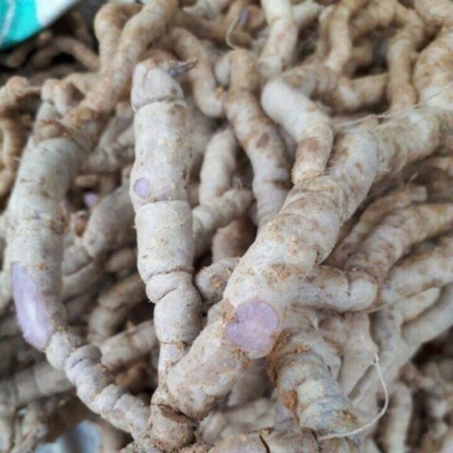 Combo mix 2kg: Dâm dương hoắc, Nhục thung dung, Sâm cau, Ba kích, Nấm ngọc cẩu