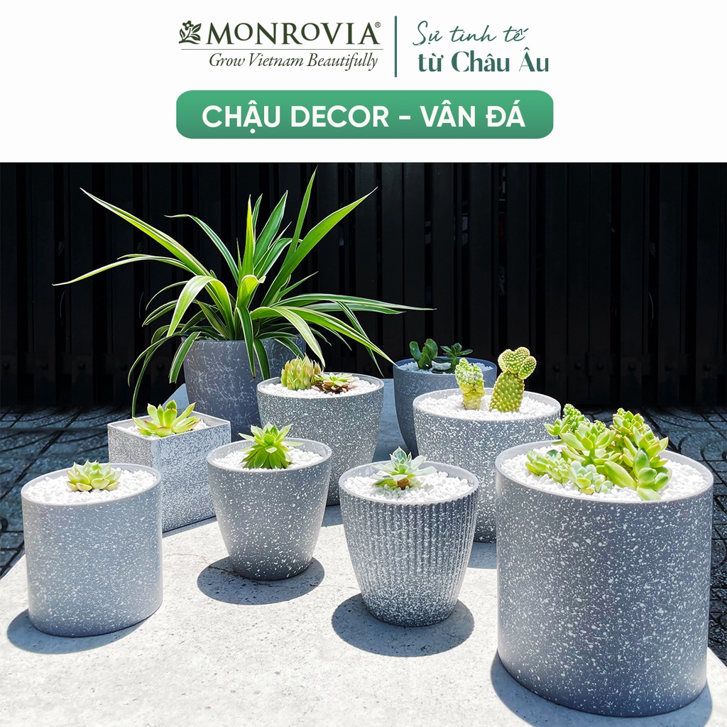 Chậu trồng cây mini MONROVIA M9 xám vân đá cao cấp cho sen đá, xương rồng, để bàn
