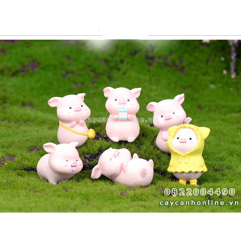Tượng heo lợn dễ thương tinh nghịch trang trí để bàn cây cảnh tiểu cảnh mini