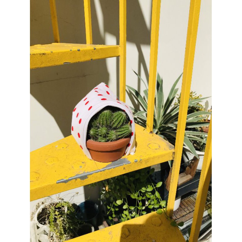 Khăn Bandana khổ 50x50 nhiều mẫu