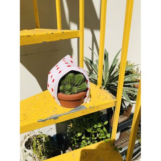 Khăn Bandana khổ 50x50 nhiều mẫu