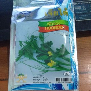 Bí siêu ngọn Thái lan