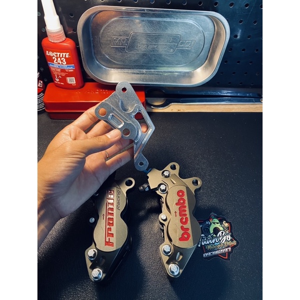 Heo Adelin Mod Anod màu chuẩn.