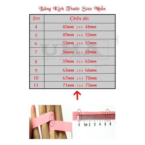 Nhẫn nam Titan rồng xanh biển mạ màu vàng 24k