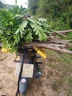 1KG ƯNG BẤT BẠC
