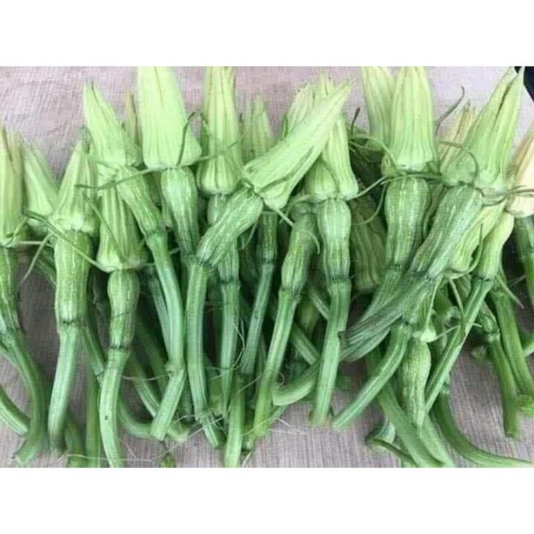 hạt giống bí siêu nụ 10h