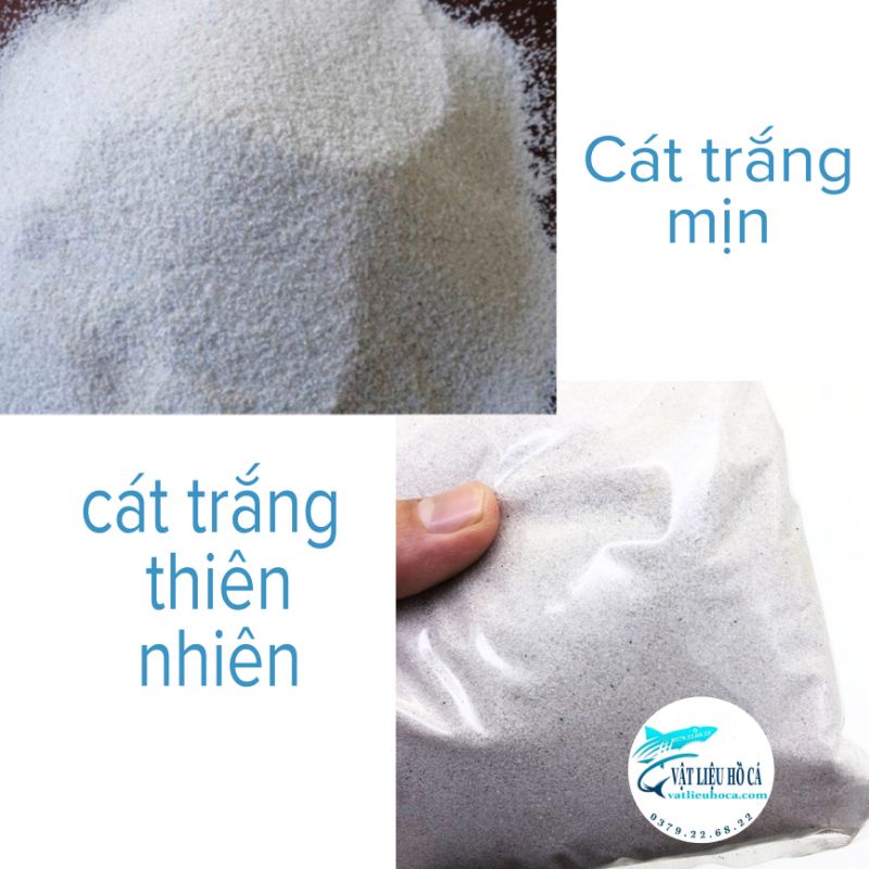 Cát biển thiên nhiên, cát trắng mịn trang trí bể cá 1kg trắng ngà