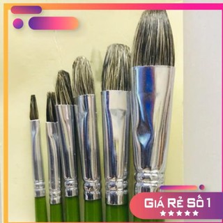 BỘ CỌ LÔNG CHỒN 6 CÂY CÓ VỎ