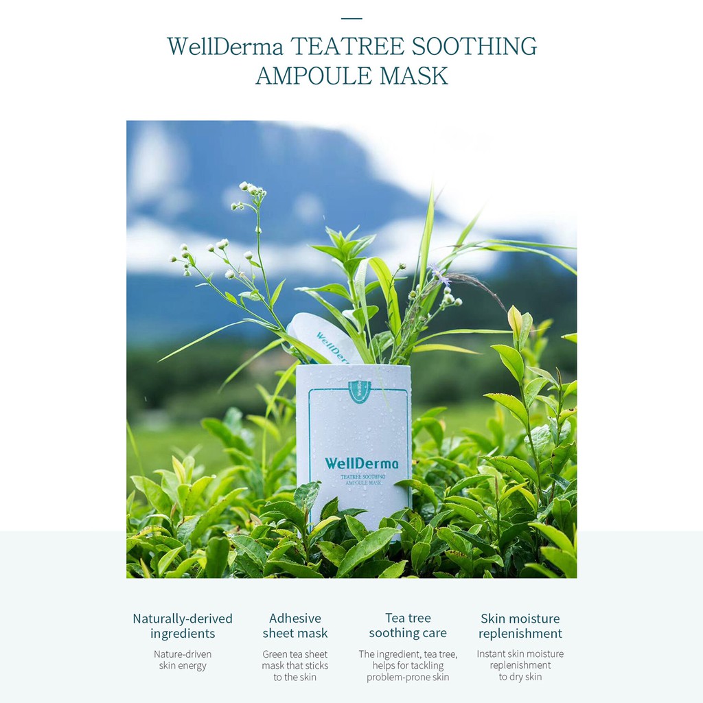 Mặt nạ cao cô đặc trà tràm Wellderma Chadew Tea Tree Soothing Ampoule Mask 10 miếng/1 hộp