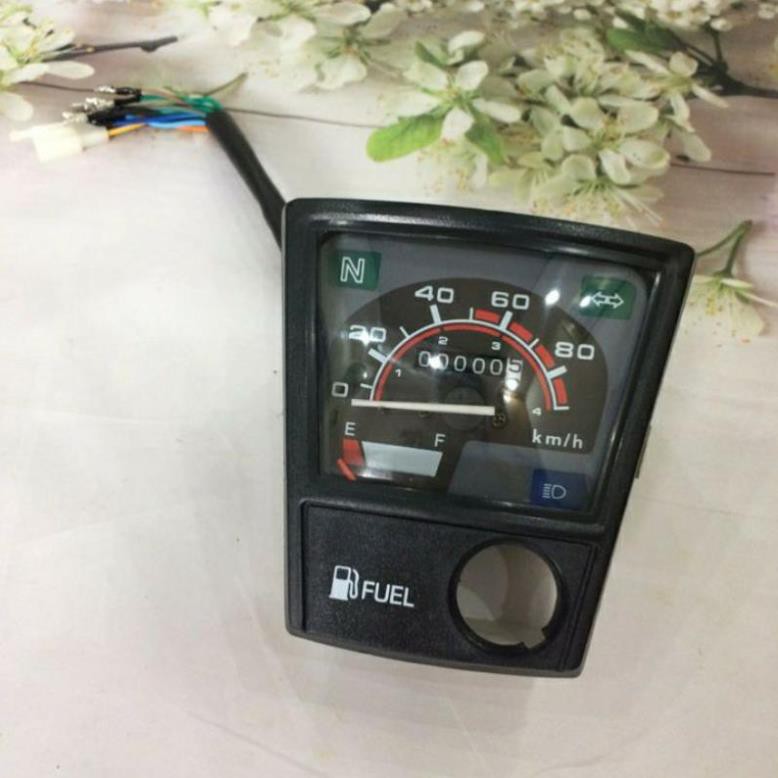 đồng hồ cup 82, cub 82 zin