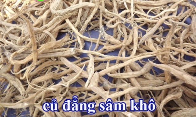 Đẳng sâm khô rừng Tây Bắc-1kg