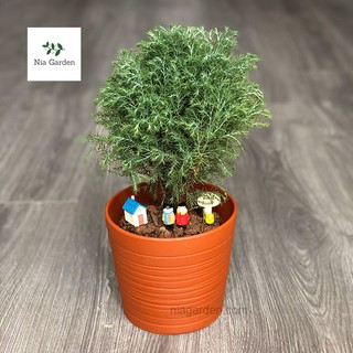 Chậu đất nung nâu đỏ cắt rối 13,5cm