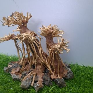 LŨA BONSAI CẤY RÊU ( N22cm - C13cm - S14cm)