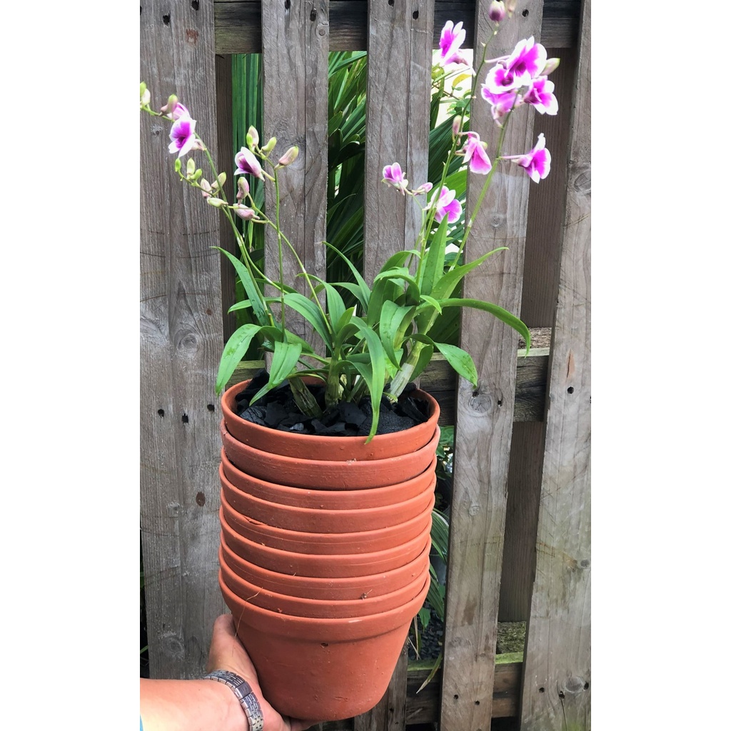 Bộ 10 chậu đất nung trồng lan trồng cây số 1 rộng 18,5cm  x cao 13 cm