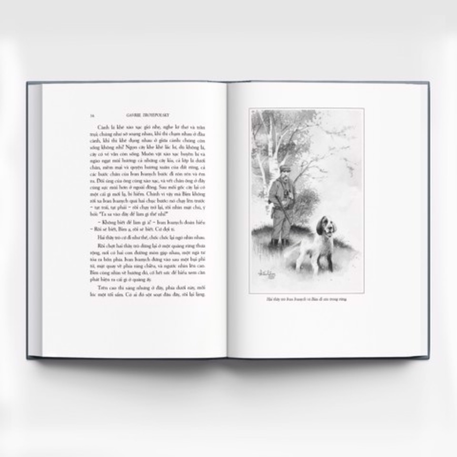 Sách - Con Bim trắng tai đen (ấn bản mới) - Bìa cứng (tặng 02 postcards) - Đông A  - DAB