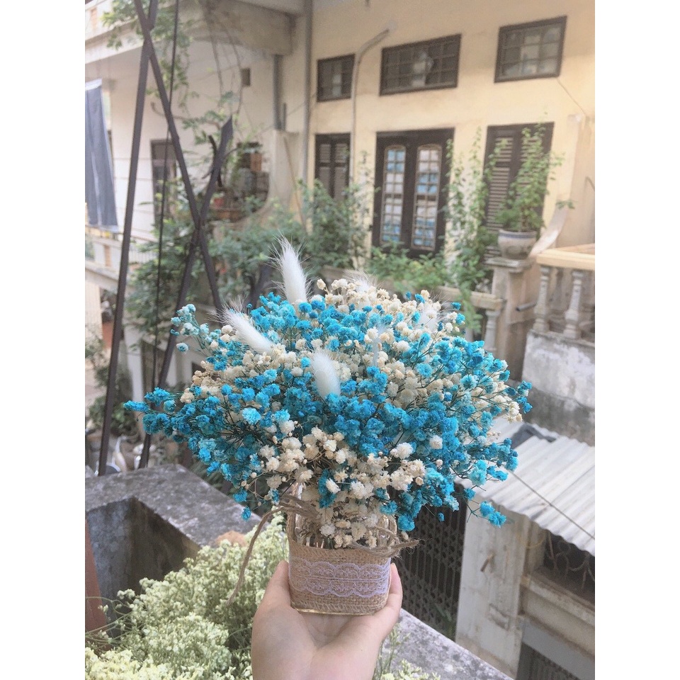 Set Lọ kèm hoa khô không tàn mix sẵn nhiều mẫu dùng trang trí nhà