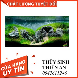 ĐÁ TAI MÈO (1KG)