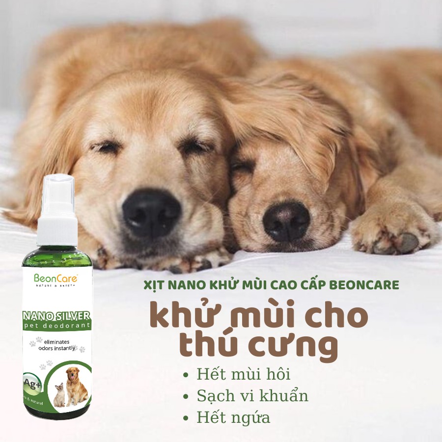 KHỬ MÙI THÚ CƯNG CHÓ MÈO BEONCARE [NANO BẠC], KHỬ MÙI HÔI CƠ THỂ PET, KHỬ MÙI NƯỚC TIỂU, CHÍNH HÃNG