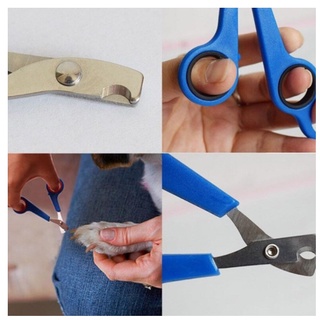 Dụng Cụ Cắt Móng Cho Thú Cưng