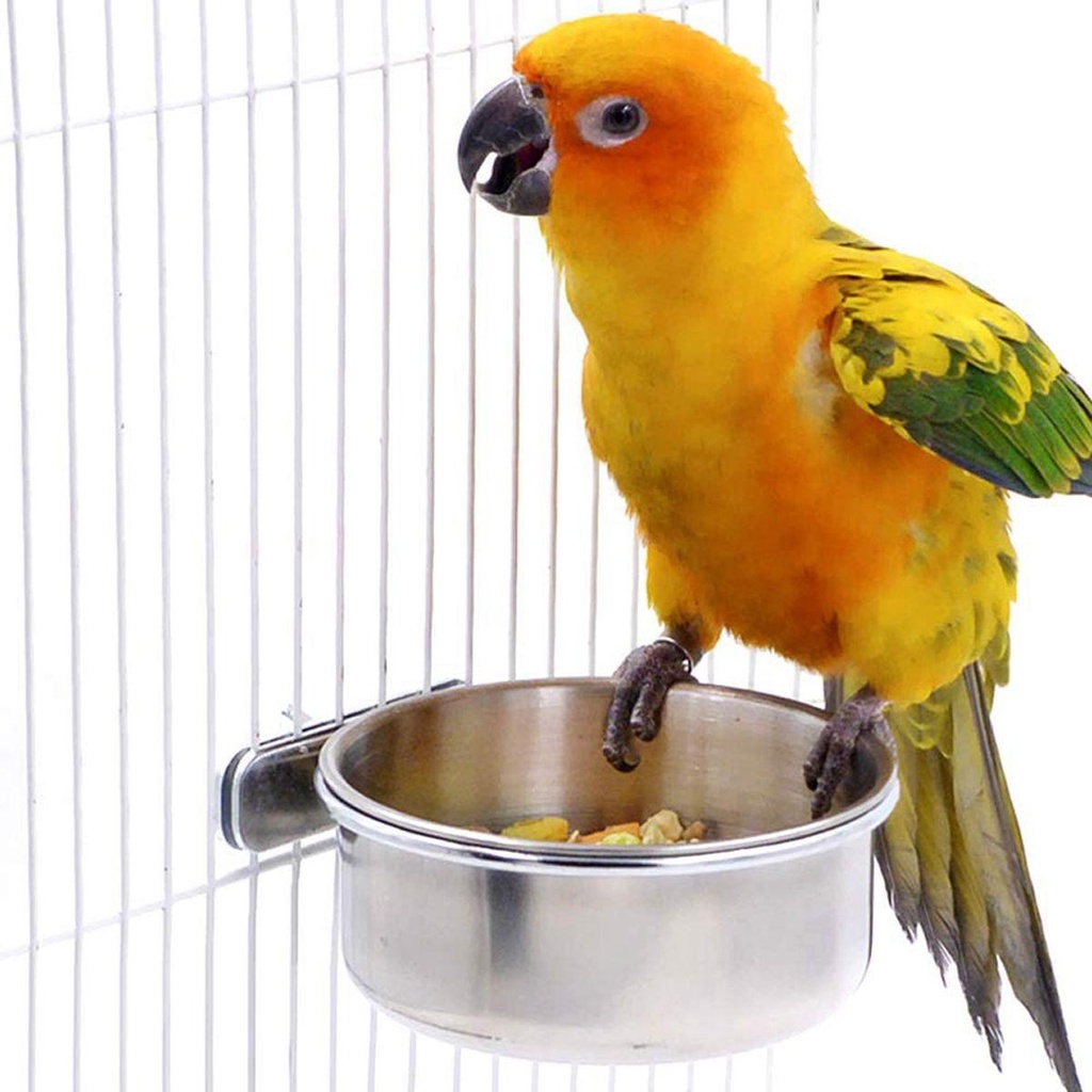 Khay Đựng Thức Ăn Bằng Thép Không Gỉ Cho Chim Cảnh / Hamster