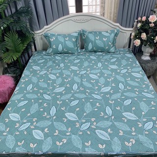 Combo 2 bộ ga gối chun trần 1m8x2m
