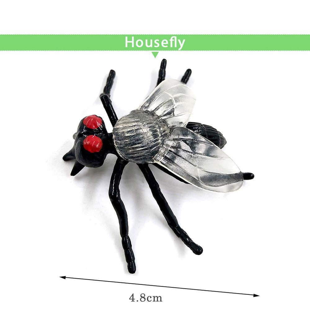 Mô Hình Côn Trùng / Khủng Long / Cá / Động Vật Nông Trại REBUY1