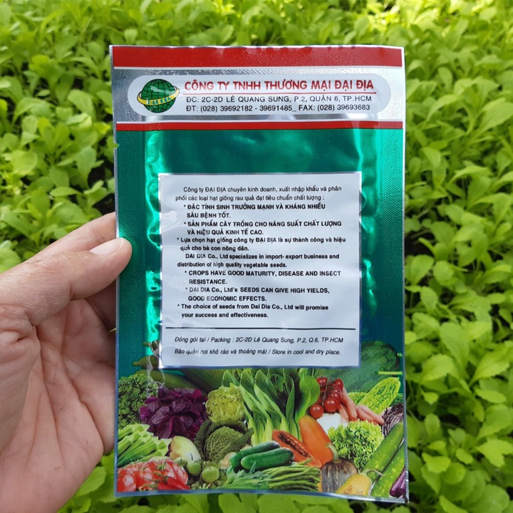 Hạt Giống CẢI BẸ XANH MỞ- Gói 20g: Phát Triển Mạnh, Kháng Sâu Bệnh, Trồng Được Quanh Năm