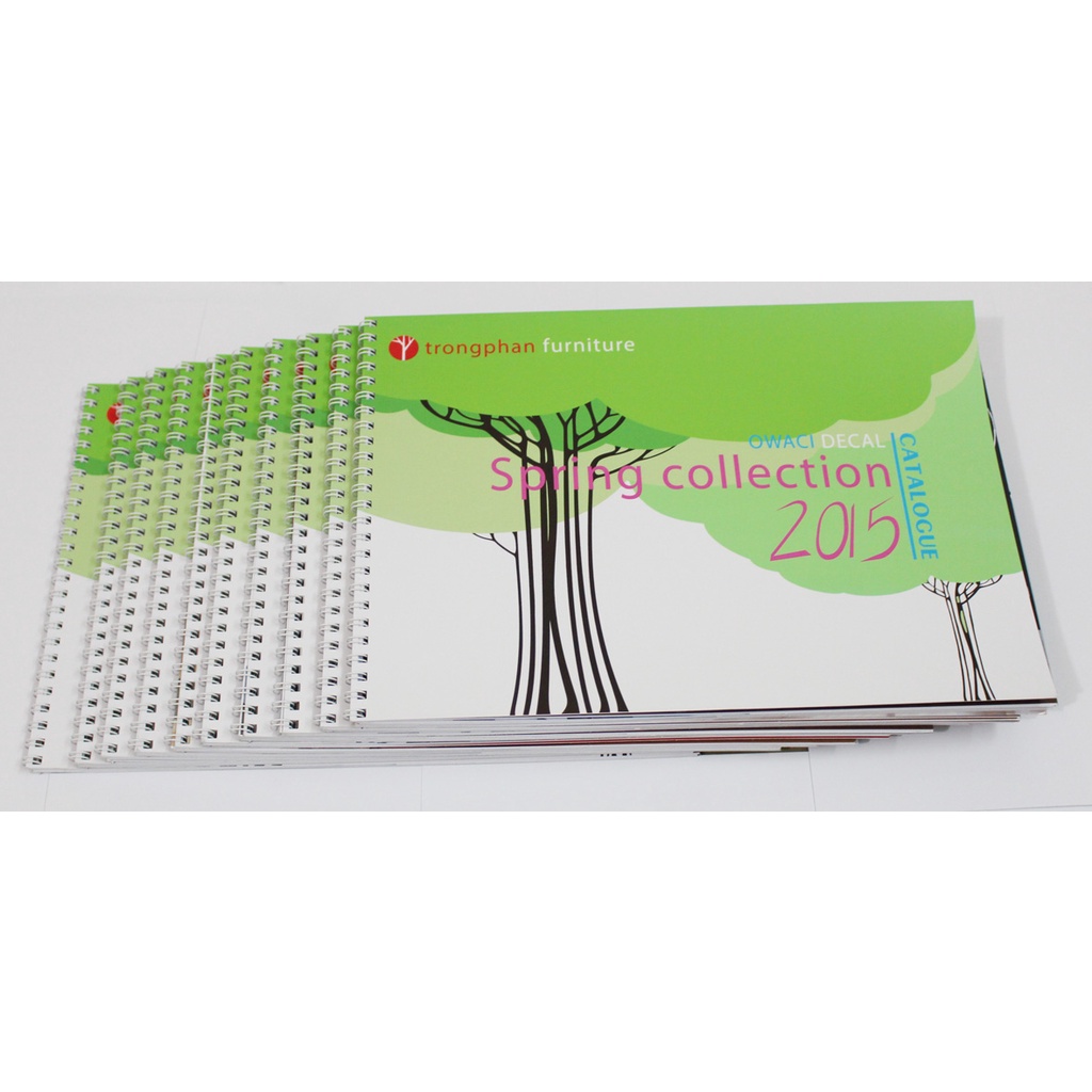 GIẤY IN MÀU COUCHE MỜ ĐỊNH LƯỢNG 160GM A4