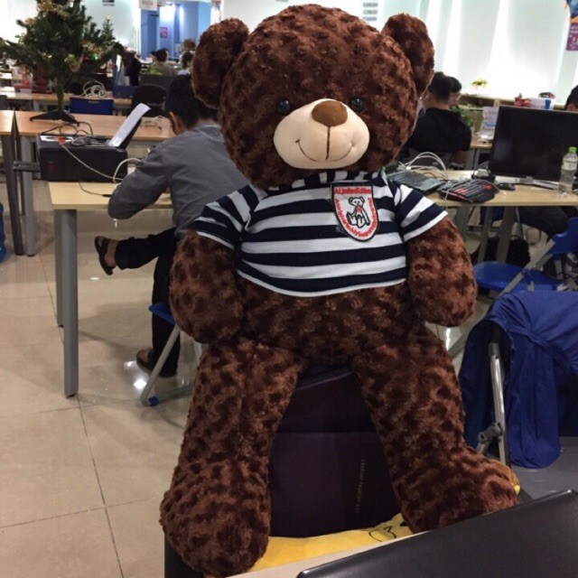 Gấu teddy tím khổ 1m