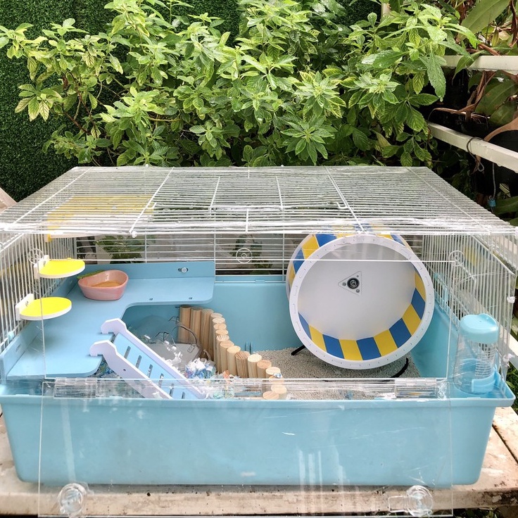 Đế wheel sắt cho hamster, sóc, bọ, nhím, thú nhỏ