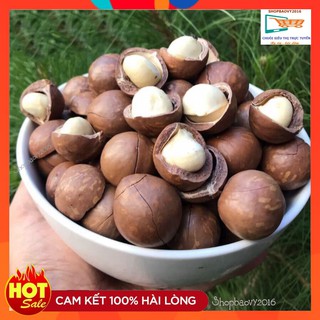 [HÀNG VIP] 500G Hạt Mắc ca Đắk Lắk - Macca ❋SIZE TO❋ Qủa Mac ca