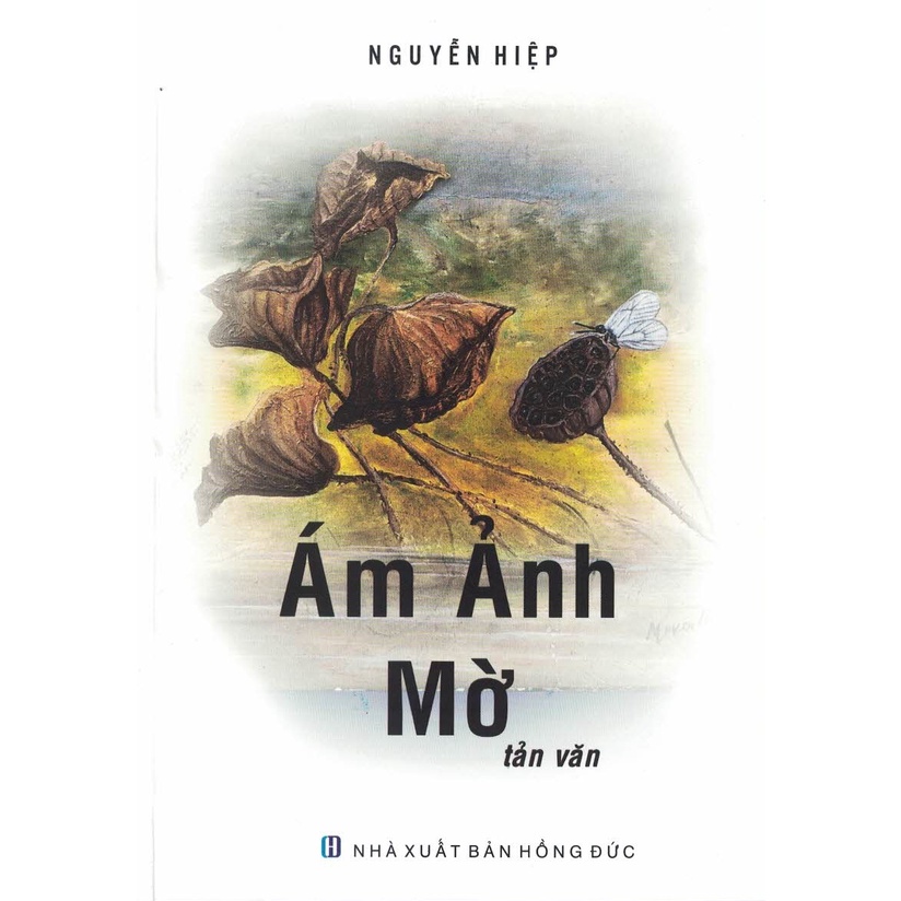 Sách - Ám Ảnh Mờ (Tản Văn)