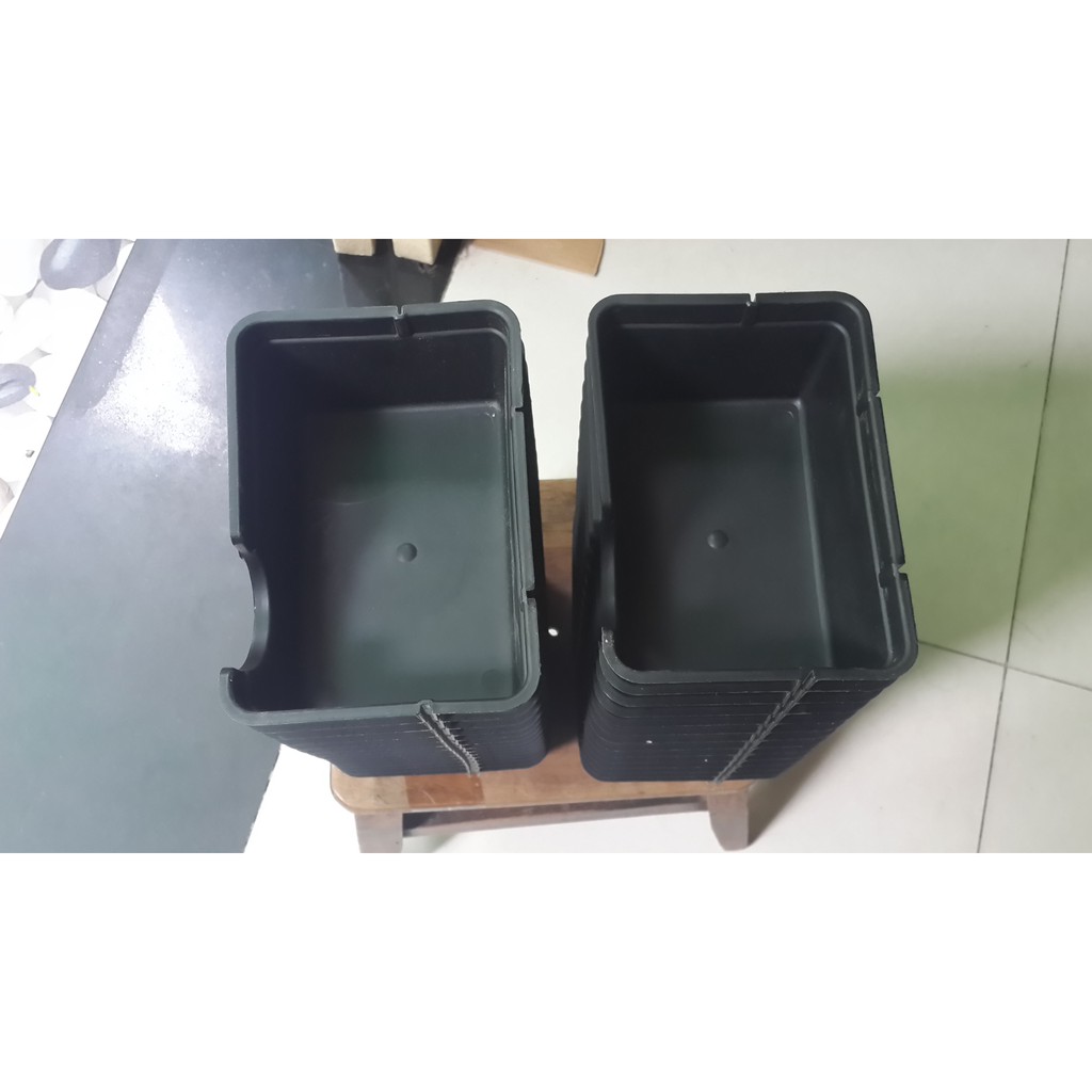 Hang trú dành cho bò sát nhỏ