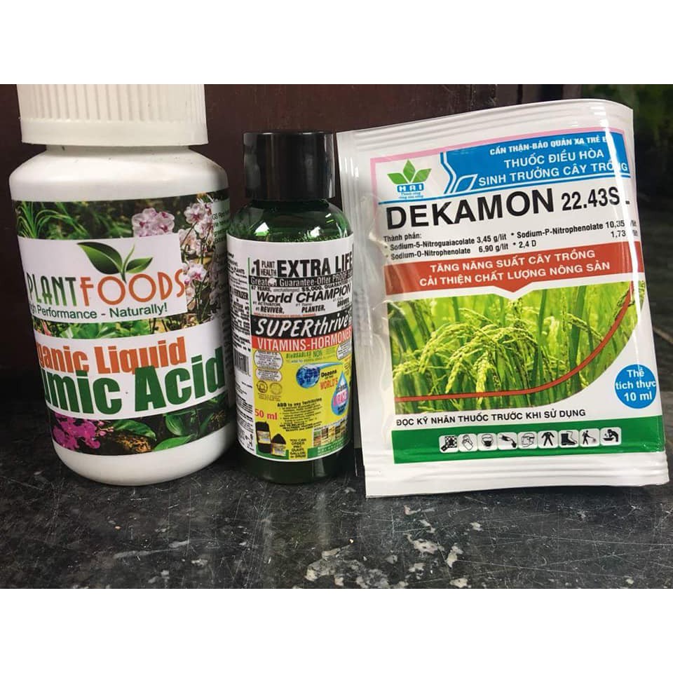 Combo chăm sóc lan Thầy Tám Ngọc (super thrive + humic + 2 gói dekamon )  2018