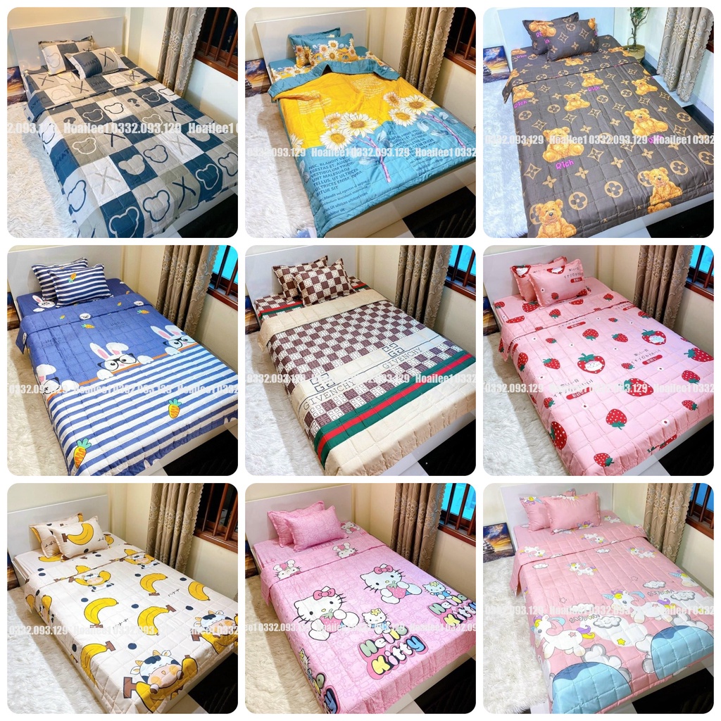 Bộ chăn ga gối khủng longm6/m8/2m2 drap giường poly, ga trải giường + 2 vỏ gối nằm+1 vỏ ôm+1 chăn hè