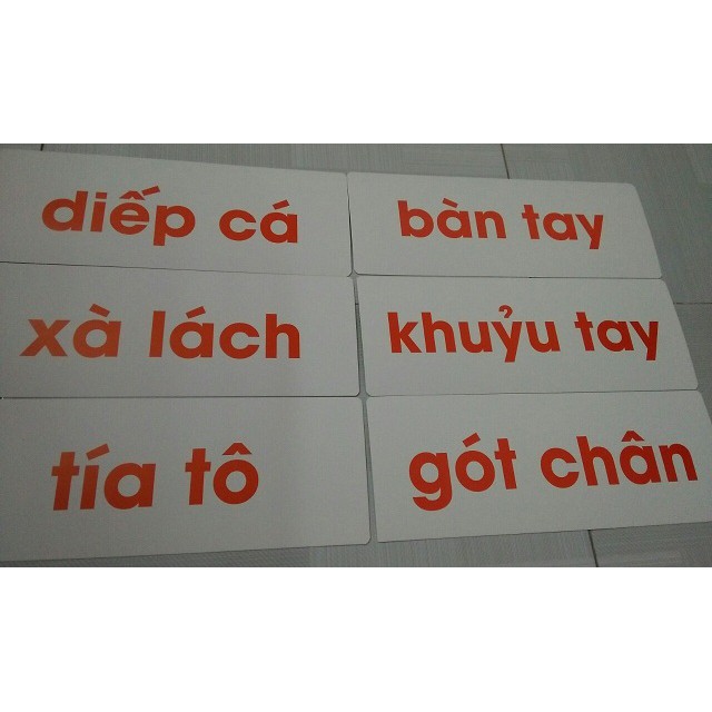 Flash card cho bé : tiếng việt - từ ghép, cụm từ & câu