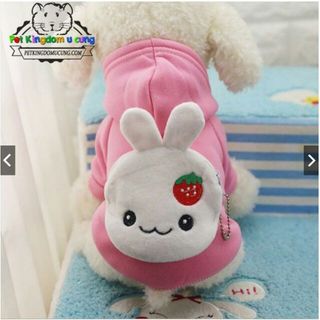 Áo balo cute chó mèo