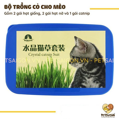 BỘ TRỒNG CỎ CHO MÈO GIÚP ĐẨY BÚI LÔNG