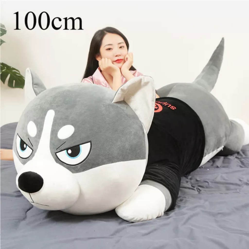 Gấu bông Chó ngáo Husky 1m7 siêu to khổng lồ phiên bản bông đẹp