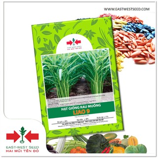 GÓI 1 KG HẠT RAU MUỐNG LIAO 9 CỦA EAST-WEST SEED (HAI MŨI TÊN ĐỎ)