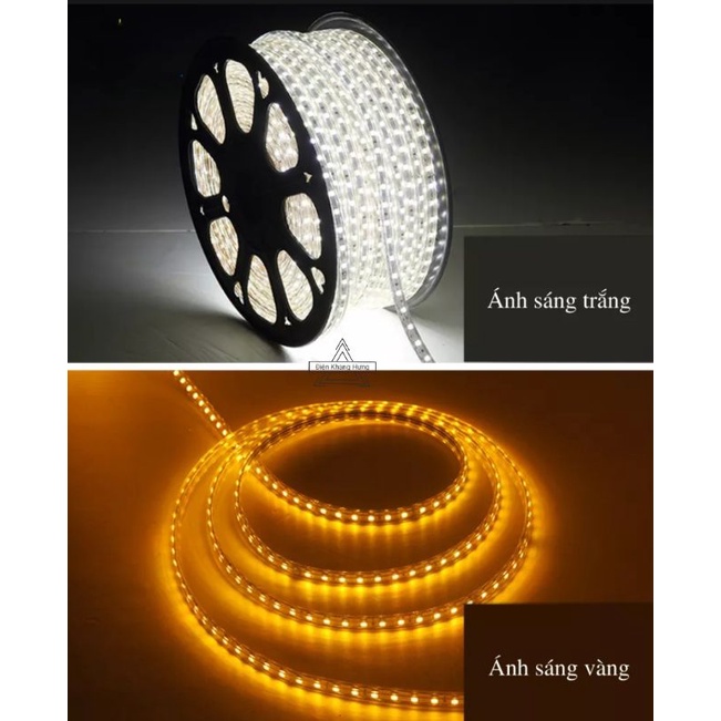 Đèn LED dây 2 hàng Led Rạng Đông một màu ánh sáng